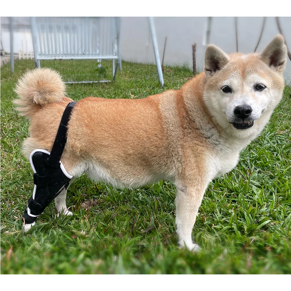 Custom Pet Dog Knee Joint Support Protective Sleeve Patellar Dislocation Ligament Tear Correction Support Brace