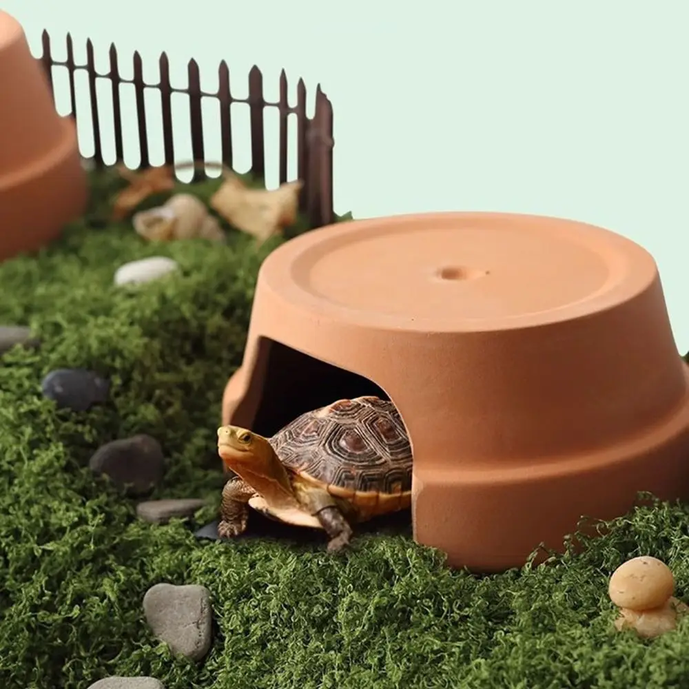 

Multifunctional Ceramics Reptile Hide Box Decorative Hiding Turtle Hideout Entranc Reptile Terrarium for Home
