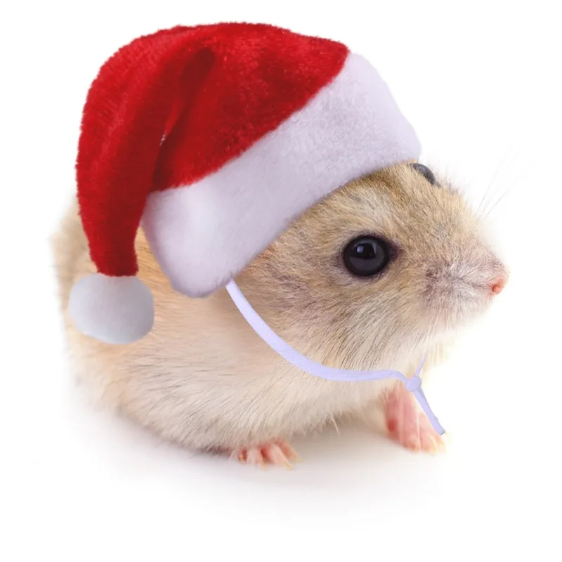 1Pc Funny & Cute Red Christmas Hat Headwear for Pets, Suitable for Hamster Christmas Party Indoor Home Use 뜨개모자