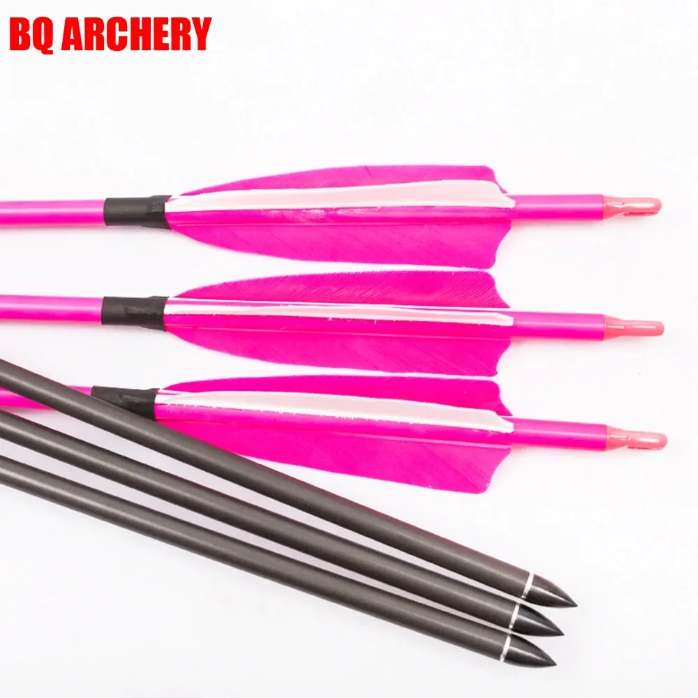 

Archery 100% Carbon Arrows Spine300-800, 30, 32Inch, 5Inch, Turkey Feather, Arrow Point, 75gr Bow, Hunting Accessories