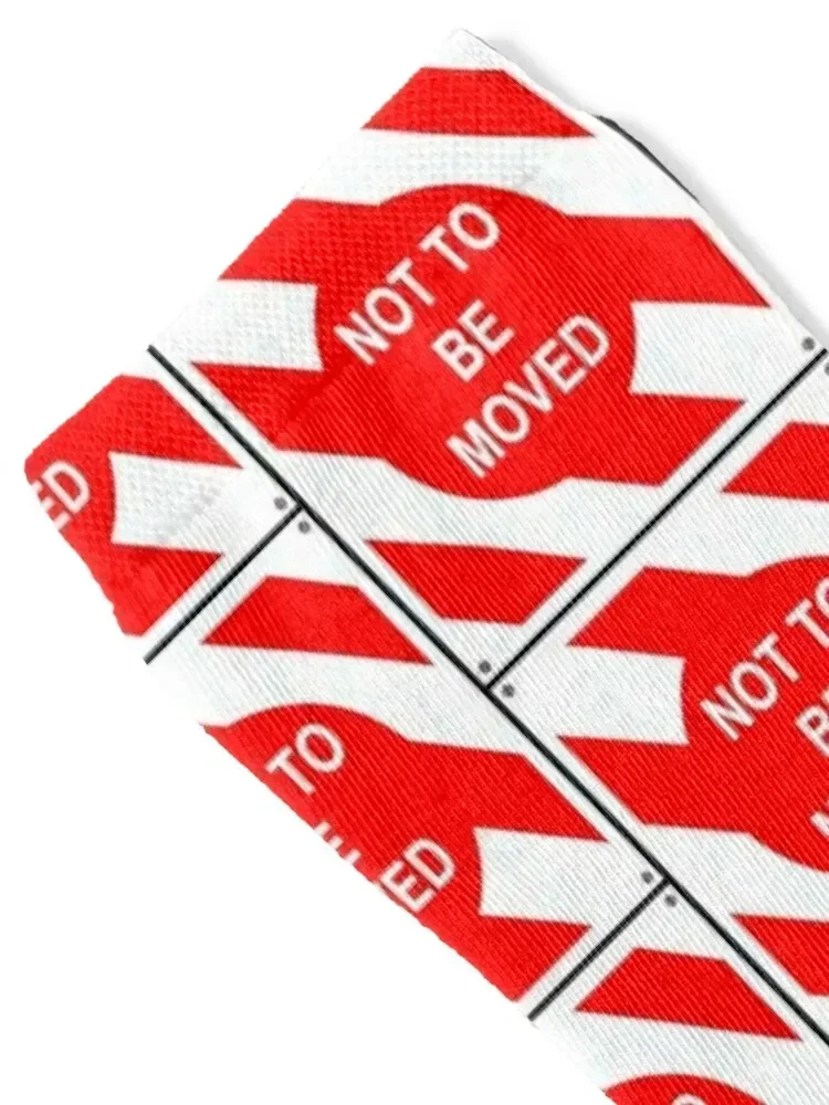 british rail sign Socks kawaii winter gifts anime essential Male Socks Women's