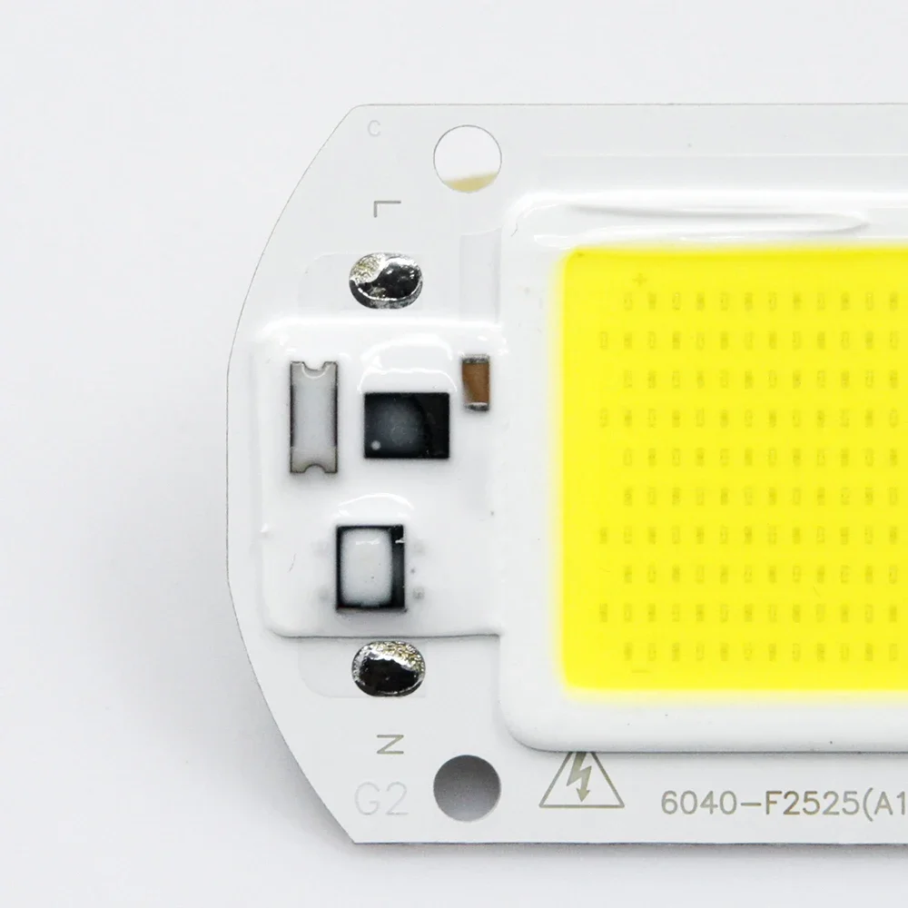 LED COB Chip Lamp 110V 220V 10W 20W 30W 50W IP65 Smart IC No Need Driver DIY Flood Light COB Lamp Spotlight Outdoor Lamp Bead image 6