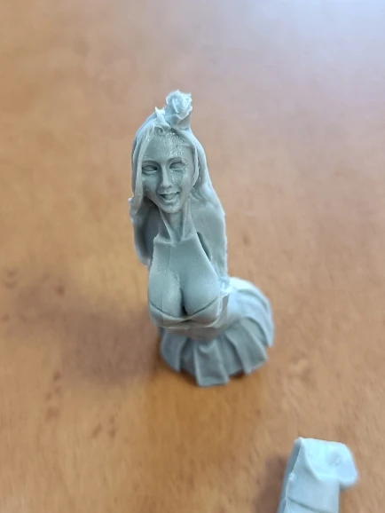 Buyer photo of this resin kit