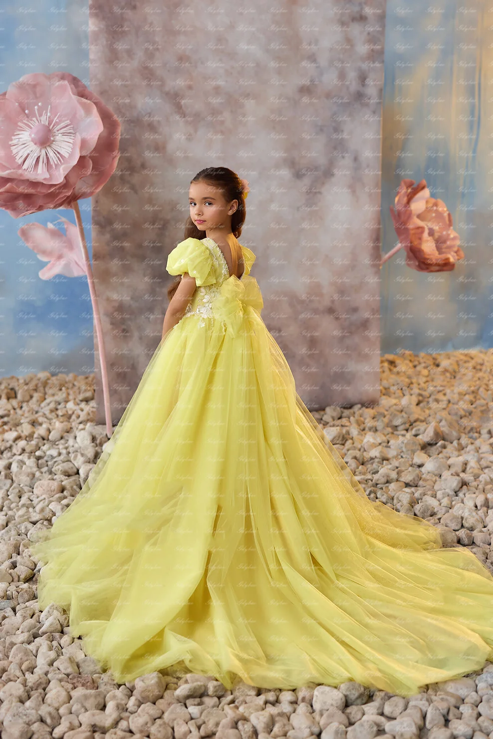 Flower Girl Dress Tulle Puffy Applique Short Sleeve Ball Gowns for Wedding Kid Piano Performance Birthday Party Dress Customized