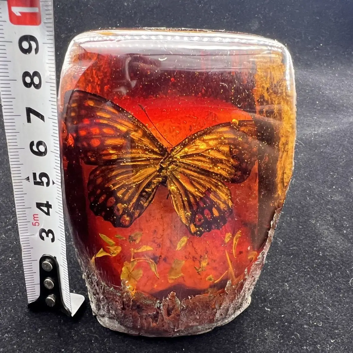 Amber beeswax rough stone insect specimen ornament rough stone insect scorpion handicraft butterfly office creative living room