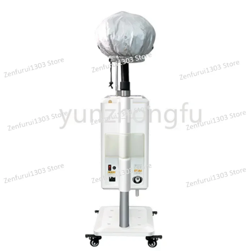 Top Supplier Professional Hair Care SPA Treatment Micromist Hair Steamer Soft Cap Bonnet Ionic Micro Mist Hair Steamer Machine