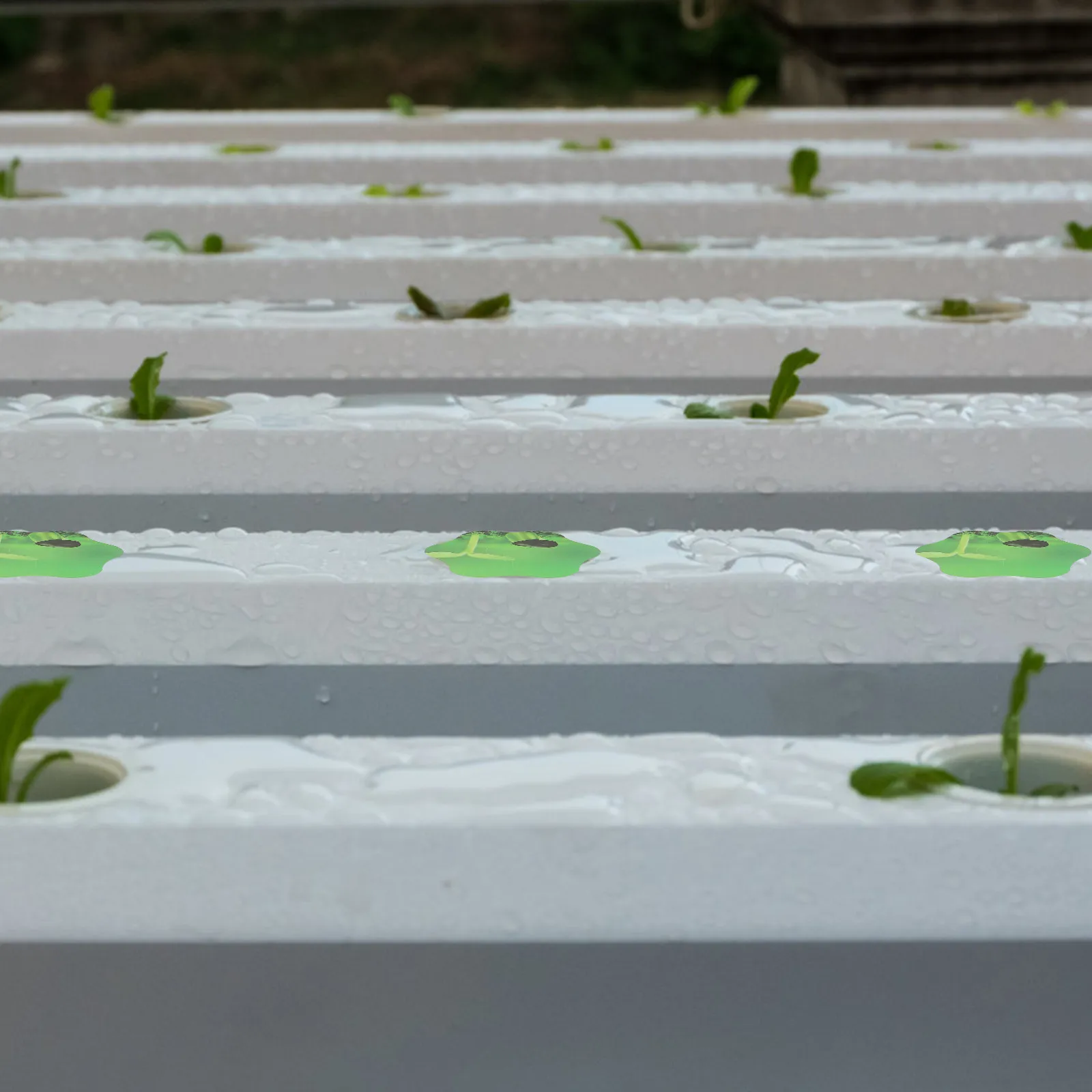 100Pcs Hydroponic Pod Labels Green Long-Lasting PVC Self-Adhesive Plant Stickers for Indoor Grow Baskets Hydroponic Garden