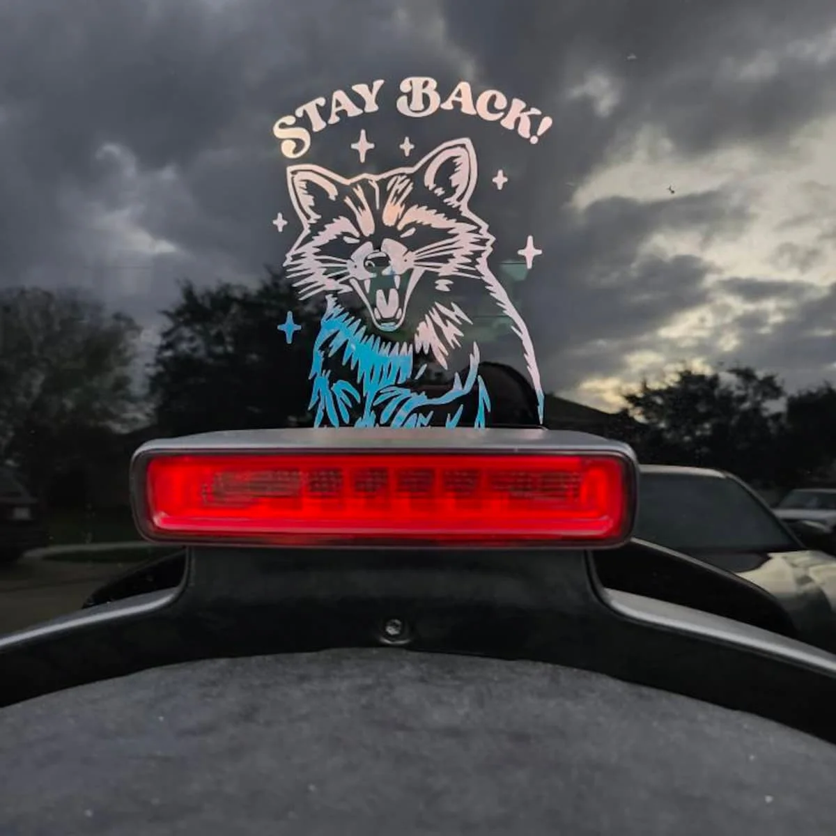 

Забавная наклейка на окно автомобиля с изображением енота - модные наклейки на заднюю дверь, аксессуары, украшение