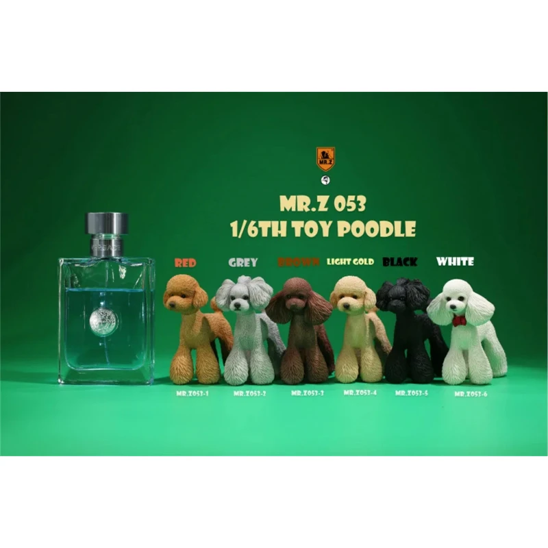 

Mr.Z Studio 1:6 Scale Model Cute Poodle Dog Pet Canidae Animal Action FIgure Toys Simulation Teddy Collection Display Gifts