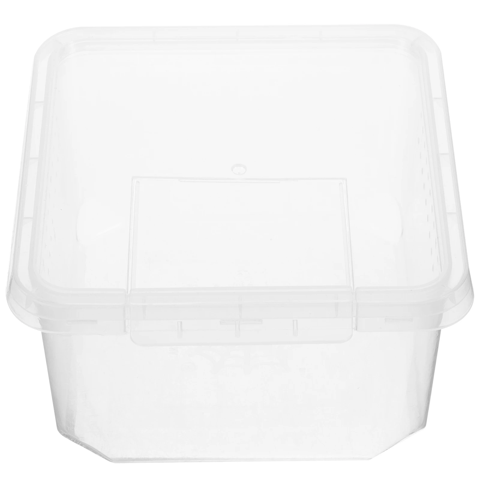 

Reptile Breeding Tank Spider Terrarium Insect Box Clear Containers Feeding Supplies Lizard Enclosure Snail Habitat Large Size