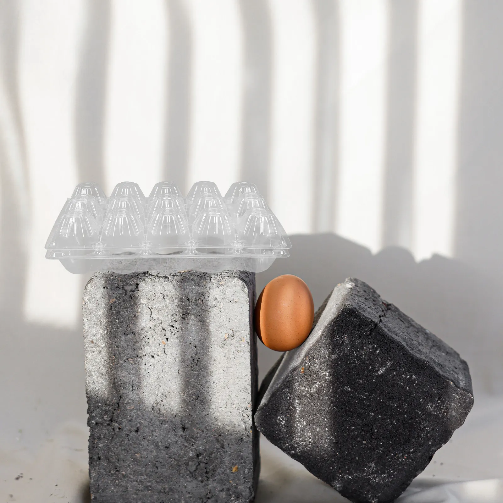 Egg Storage Holder - 10Pcs Transparent Egg Box Plastic Egg