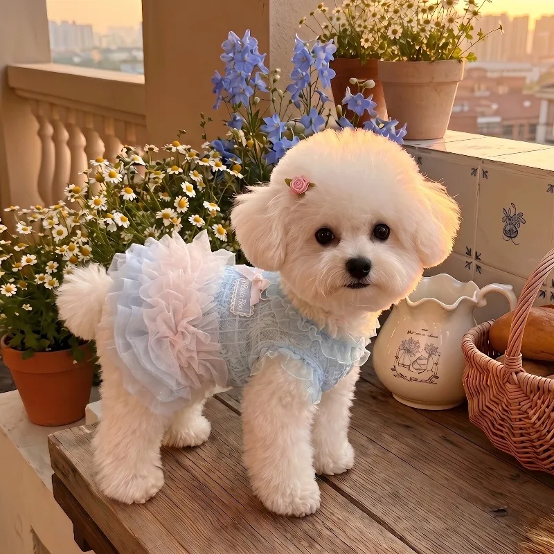 Fairy Style Pet Cake Dress Lace Mesh Gradient Tulle Dress Bow Decor Ruffled Collar Sleeveless Suspender Summer Party Outfit