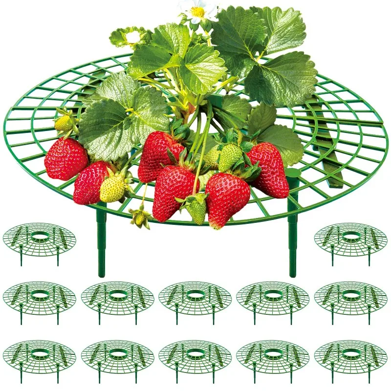 

ABLJ 12Pcs Strawberry Support Stand - Plastic Half Circle Interlocking Garden Tool For Balcony Pot Planting