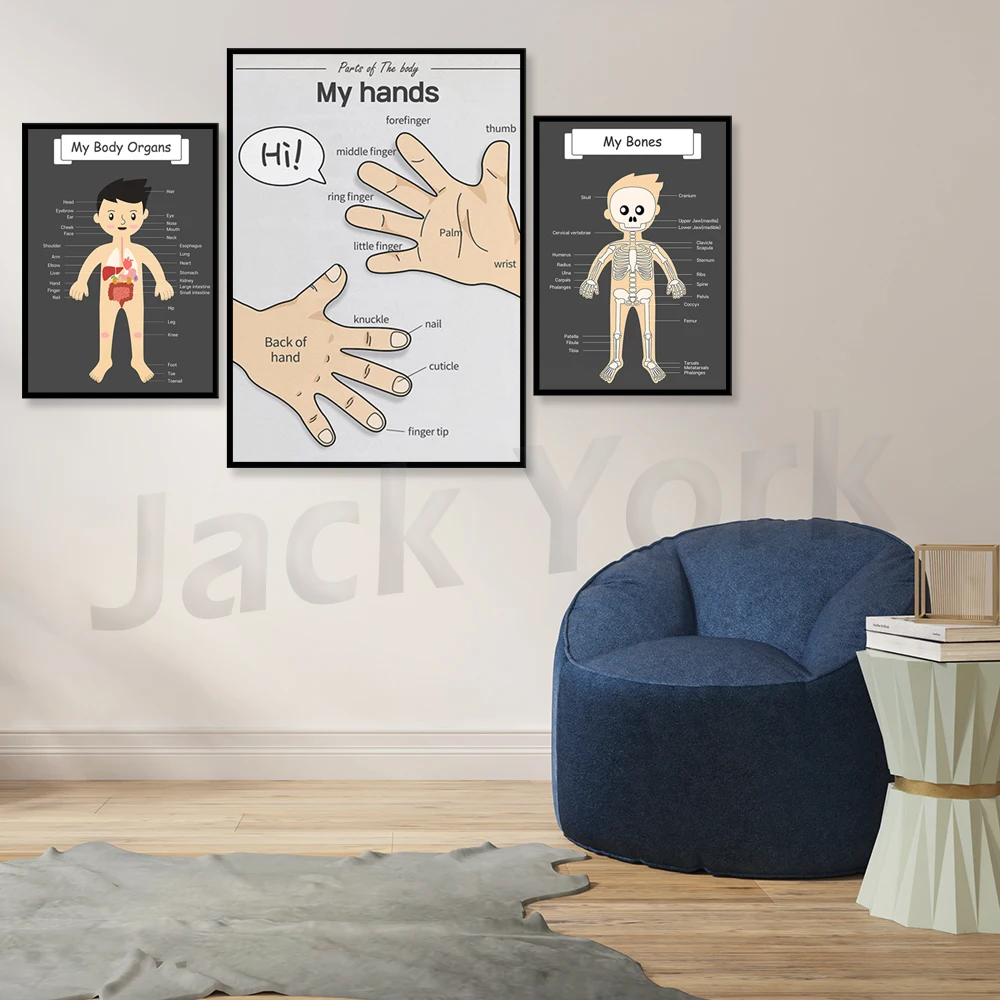 The body organs, For kids anatomy, human body Kids printable poster, Kindergarten Activity