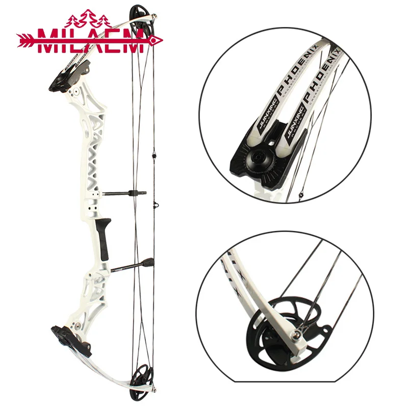 1 Set Archery Compound Bow for Shooting Light Weight Simple Design 30-55lbs Adjustable Bow and Arrow Outdoor Hunting Accessories