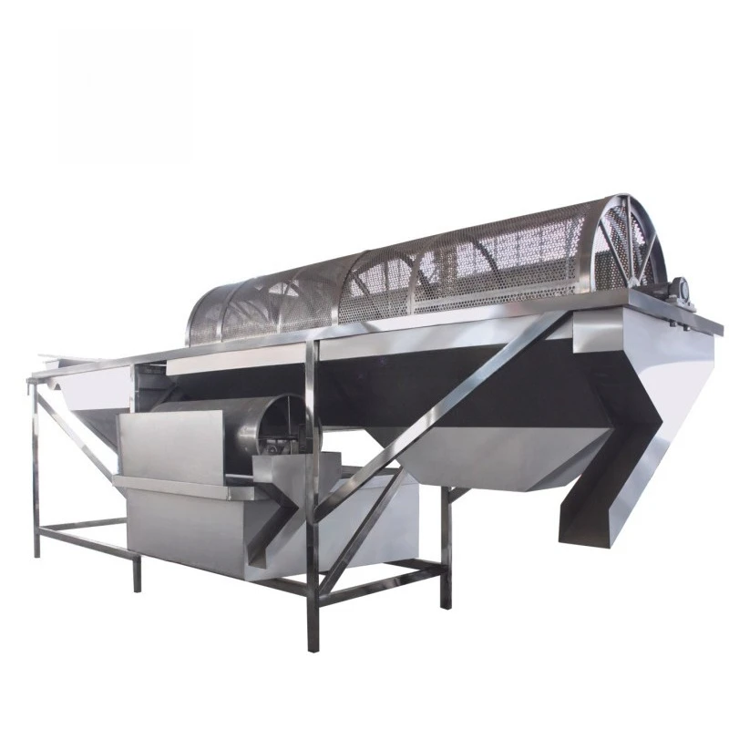 Industrial Vegetable Cleaning Machine with Bubble Washing System | Automatic Fruit Processing Equipment for Food Production Line