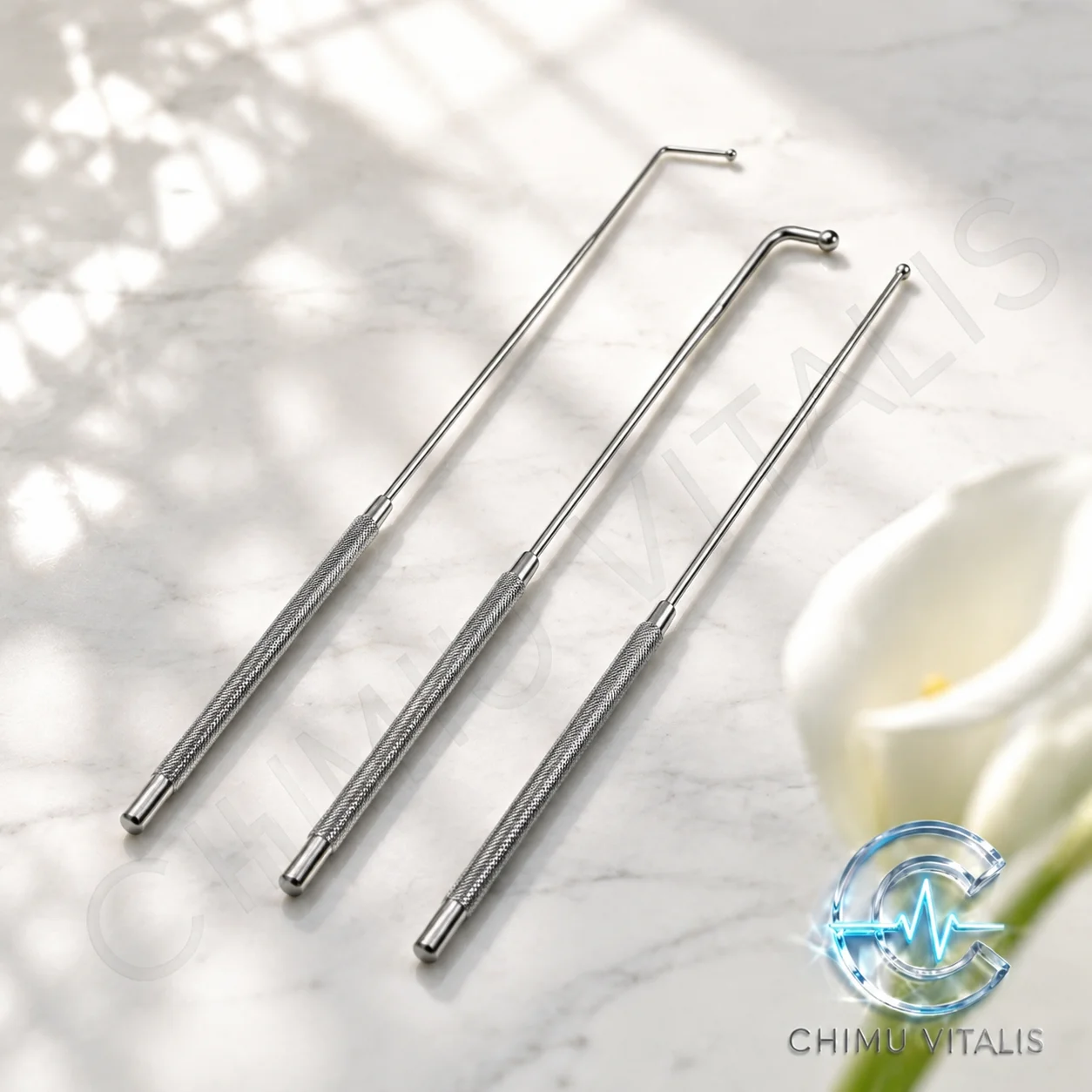 【CHIMU VITALIS】 Sonde pour nerfs, diamètre 2,5 mm, options de pointe droite/courbe/angulaire, instrument en acier inoxydable