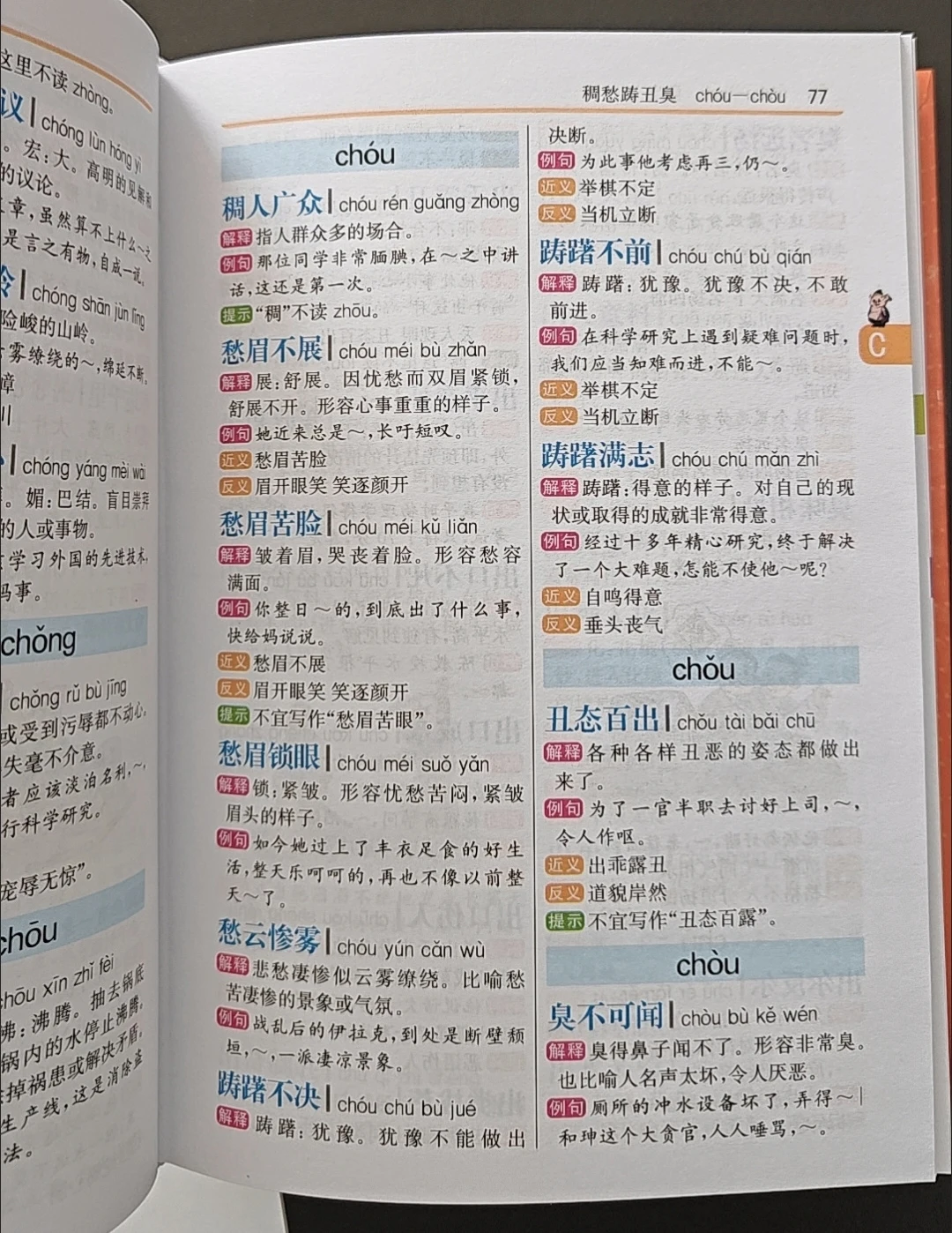 Illustrated Idiom Dictionary for Primary School Students, Chinese Idiom Reference Book for Kids, 5000+ Entries Large Print