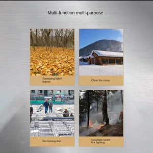 8 en çok satan yaprak üfleyici sırt çantası-benzin-no. 1