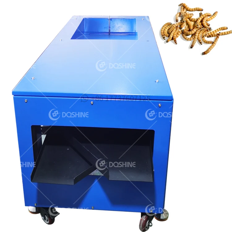 High-capacity Hot-selling Tenebrio Molitor Sorting And Screening Machine Larvae Separator