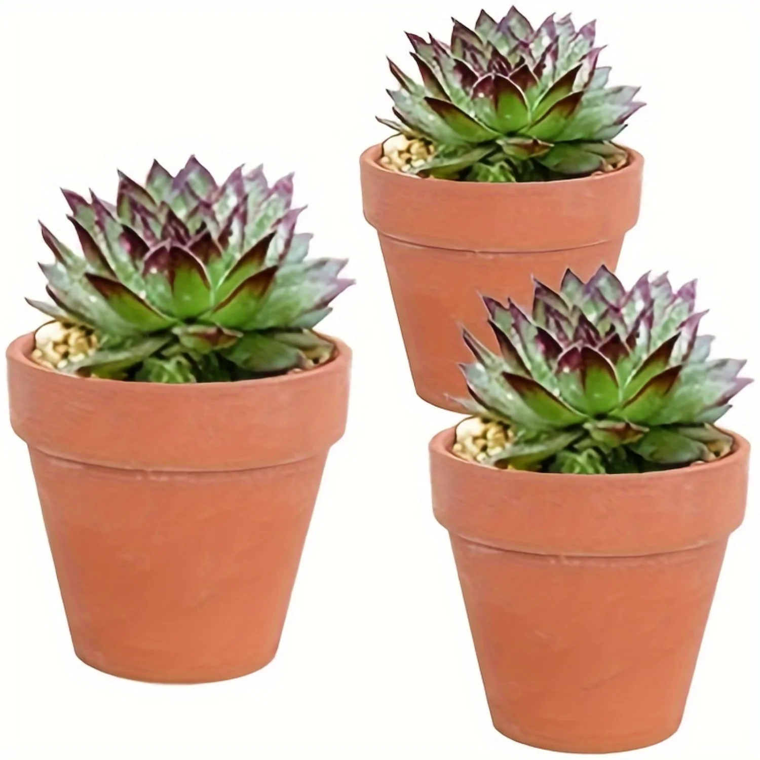 24pc Classic Mini Terracotta Planters with Drainage - Ideal for Succulents, Crafts, Indoor/Outdoor Use