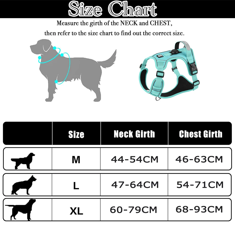 Dog Harness & Leash Set 6
