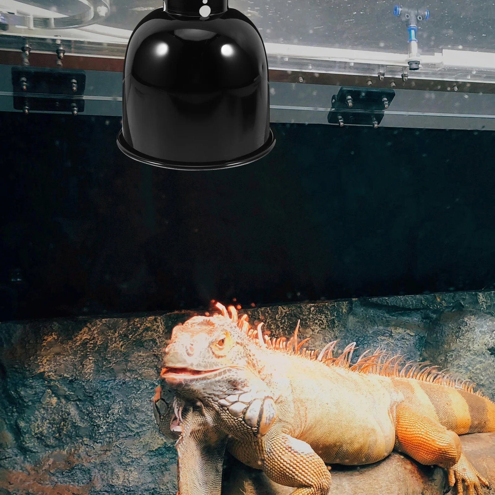 

Adjustable Heat Stand 5.5 Inch Dome Light Fixture Durable Heat Lamp Shield For Turtle Snake Enclosure Anti-Scald Lamp Cover