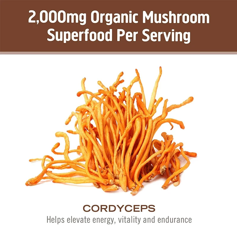 Cordyceps sinensis mushroom capsules,60 capsules, a supplement for energy, strength, endurance support, and athletic performance