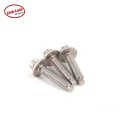 LINK-LOCK/ Water Pump screw 11510392553 For N52