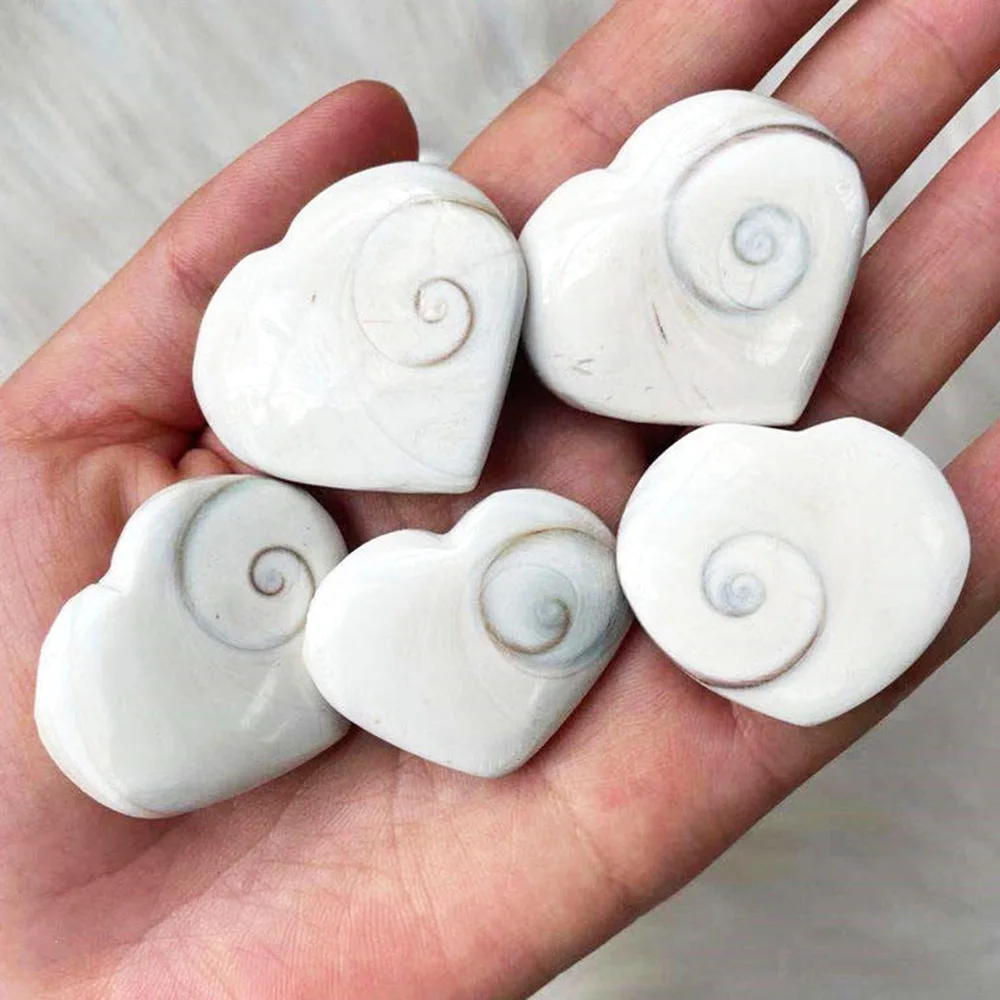 Natural Conch Shells Shiva Eye Sun Shell Love Heart Specimen Mineral Pendants For Meditation Chakra Jewelry Making DIY Gift