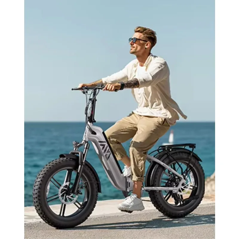 HovBeta F008 20" Foldable E-Bike 1200W 7-Speed Aluminum Frame Fashion Design Fat Tire