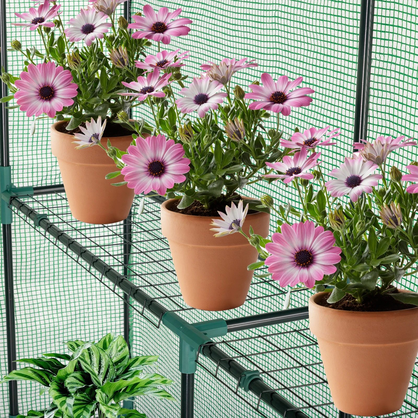 

143x143x195cm Black Iron Pipe Steeple With 8 Pieces Grid Flower Stand With Zipper Rolling Door PE Cloth Greenhouse