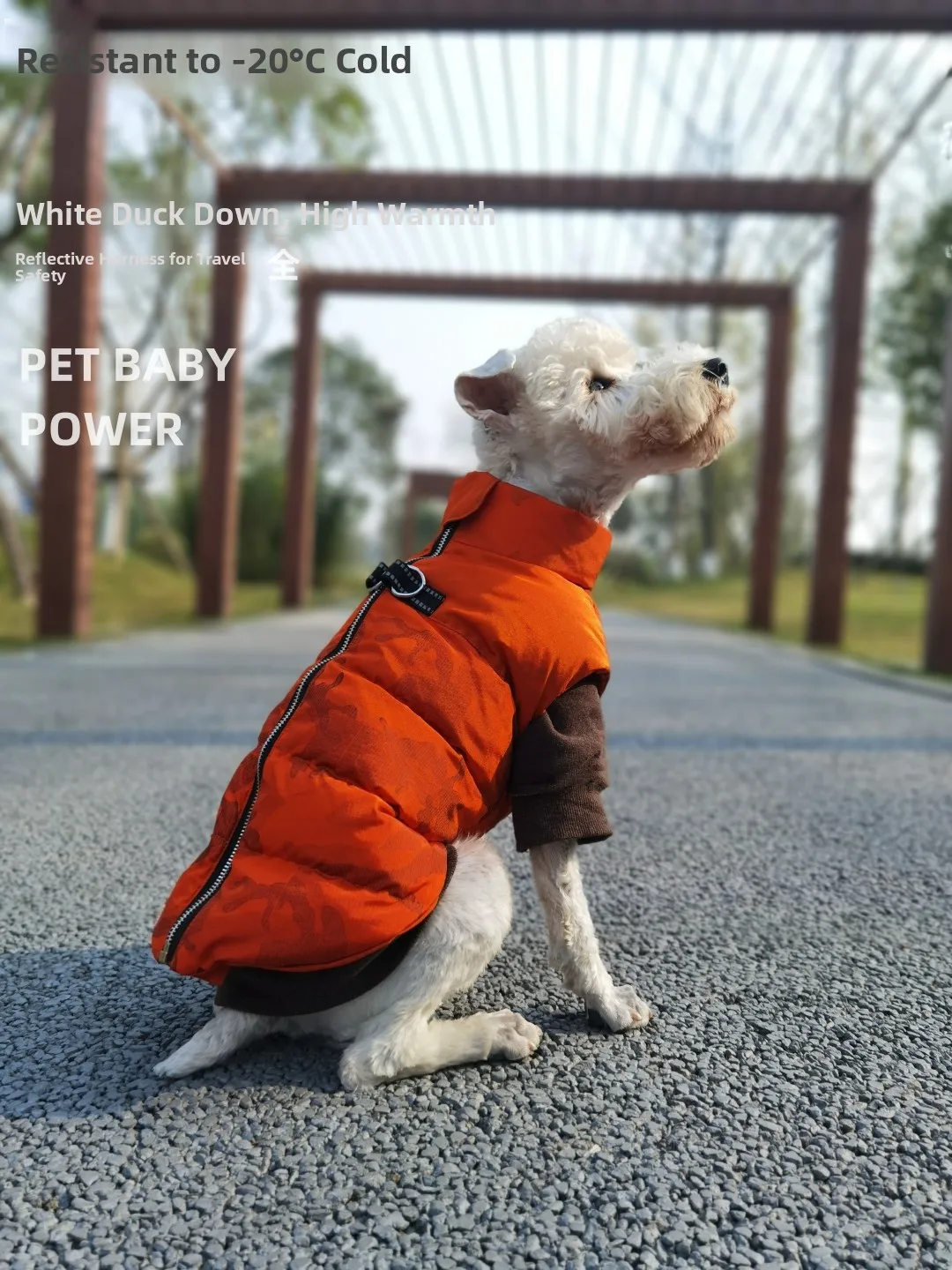 

Водонепроницаемый пуховый жилет для собак (Тедди, Чихуахуа), теплая зимняя куртка, различные цвета, легко чистится, прочные аксессуары для животных