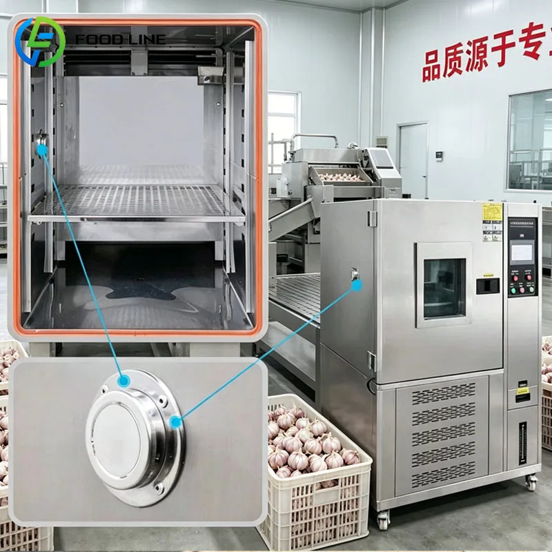 Black Garlic Fermentation Machine Automatic Fermenter Cabinet Temperature Control Aging Chamber Large Capacity Customized