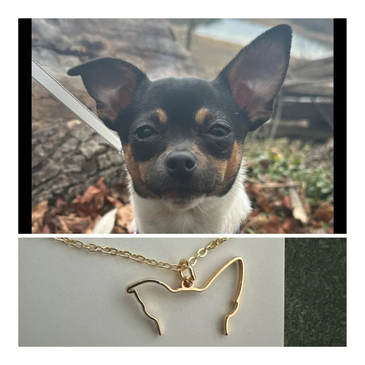 Custom Dog Ears Outline Necklace Personalized Pet Silhouette Choker Stainless Steel Necklaces For Women Men Animal Jewelry