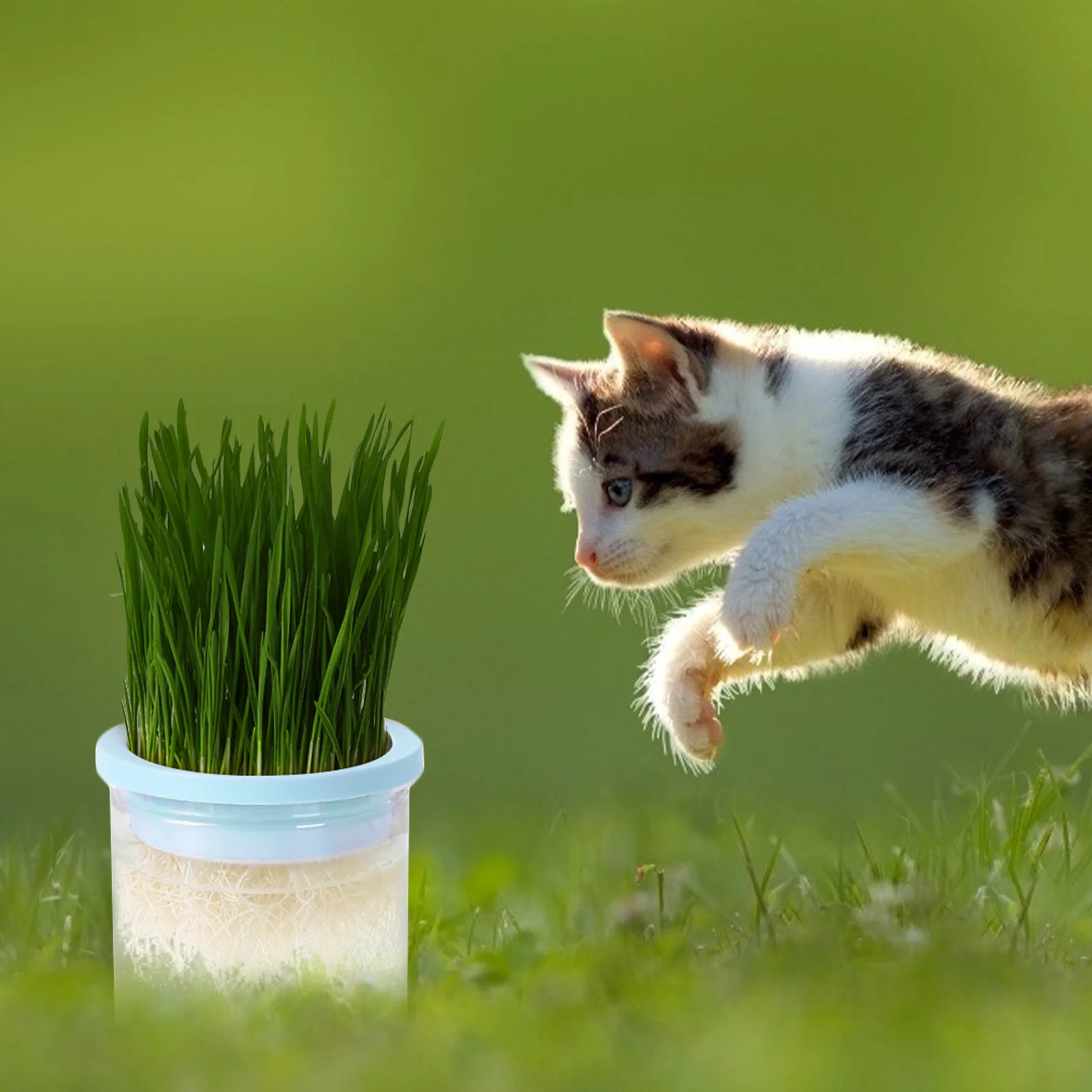 

Hydroponic Cat Grass Planter Durable Plastic Large Area Easy Cleaning Soilless Pot Pet Tray Catnip Nursery Gardening Supplies