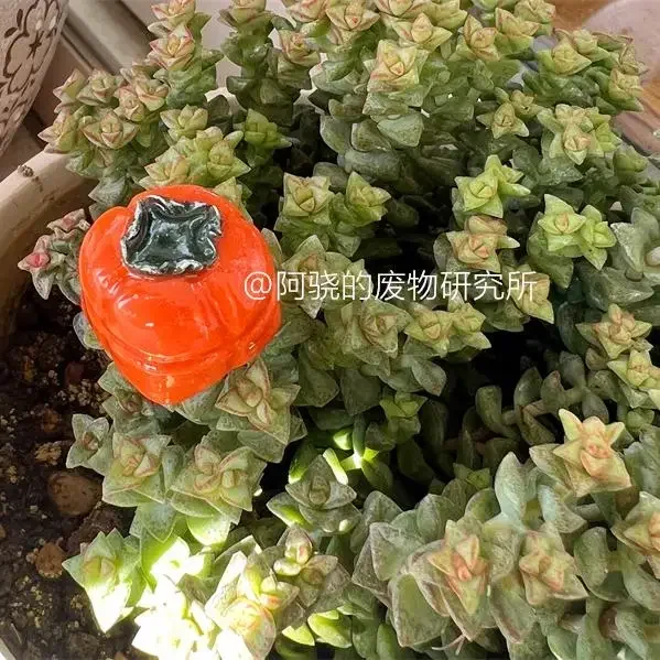 Persimmon, keycaps, fruit, cross axis mechanical keyboard customization