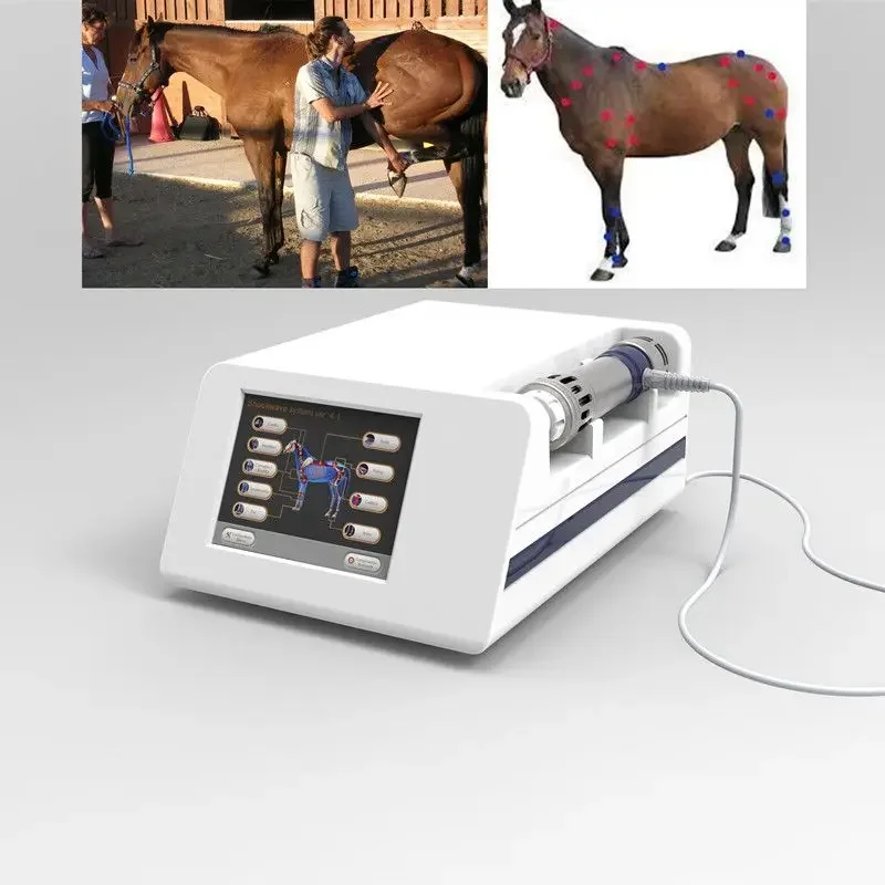 

Veterinary instrument horses equine shock wave therapy equipment for horse with 5pcs different size of tips