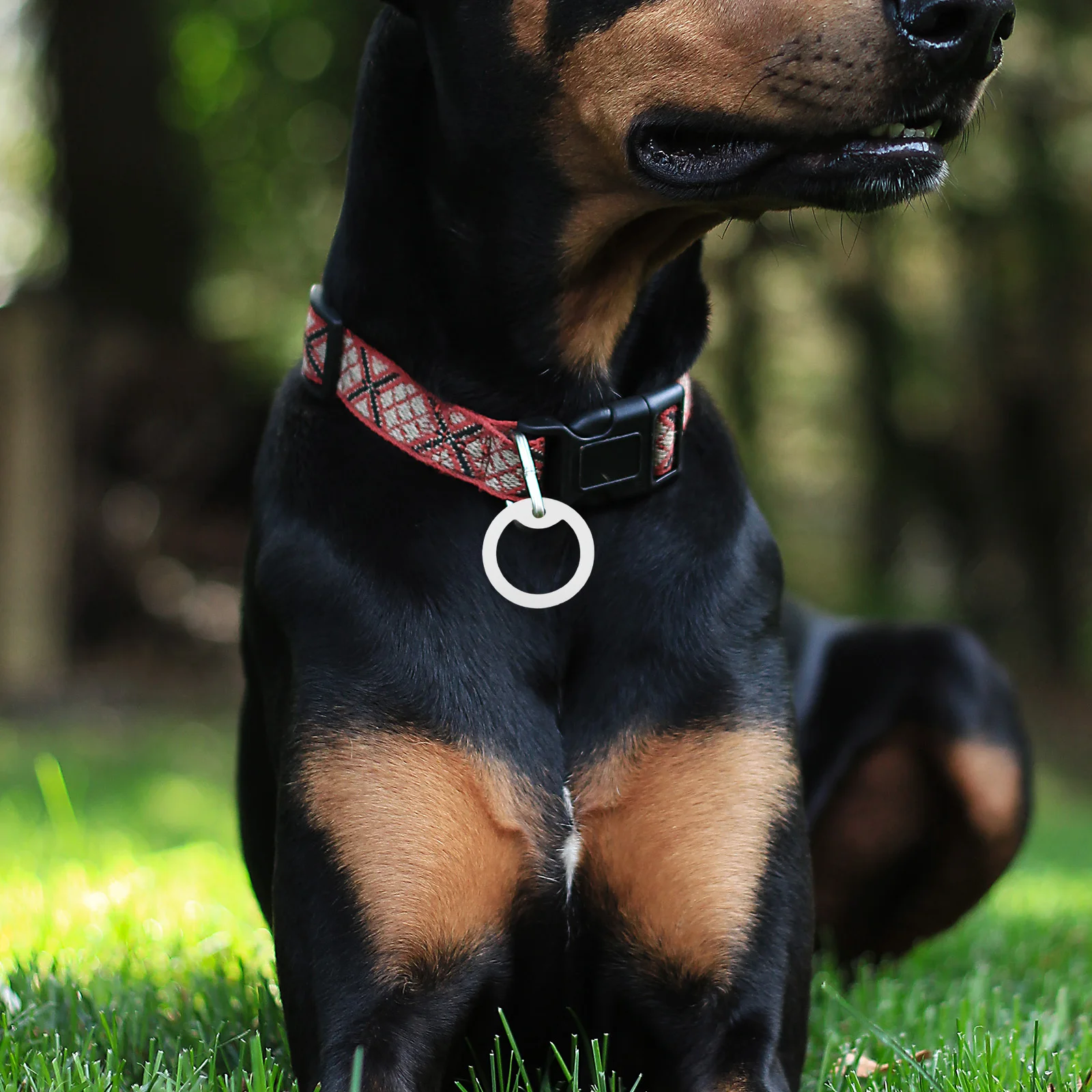 

6pcs Silicone Dog Tag Cover Glow In Dampening For Id Tags Scratch Protection Lightweight Pet Collar Accessories Quiet