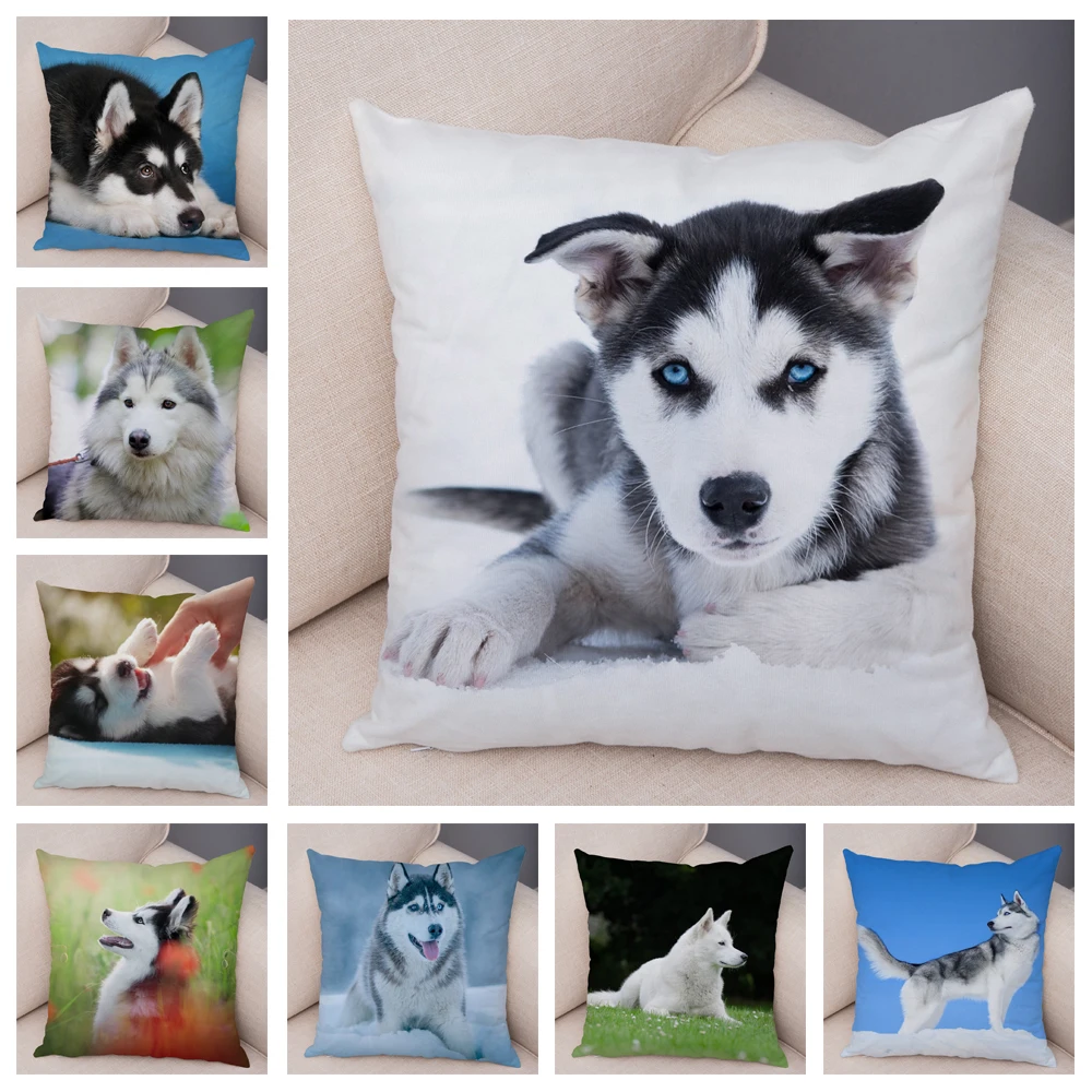 Decor śliczne Siberian Husky poszewka Pet z nadrukiem z psem bardzo miękki, mały, pluszowy poszewka na poduszkę 45*45cm poduszka w kształcie zwierzęcia na sofę