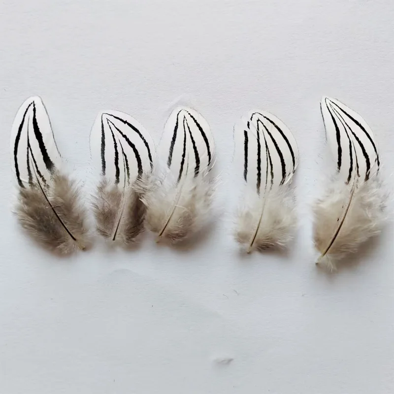 50 sztuk / partia! 4-12 cm Długi naturalny pióropusz, SREBRNY krzepnięta BODY PLUMAGE FEATHERS Natural White Black Fly / Fishing / Craft