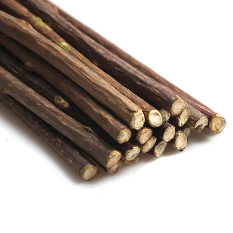 Natural Cat nip Pet Cat Molar Toothpaste Stick Actinidia Fruit Silvervine Cat Snacks Sticks Pet Cleaning Teeth pet products