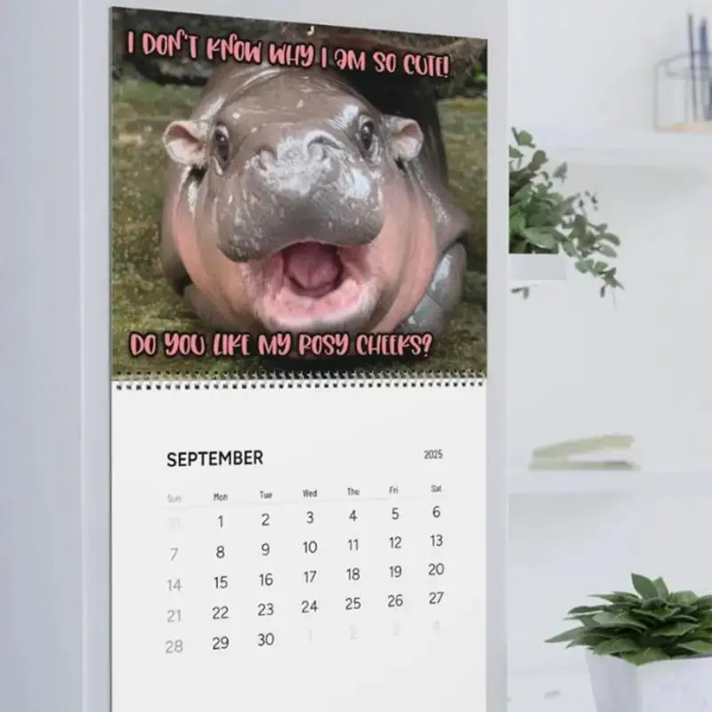 Monthly Wall Calendars Hippo Design 2025 Monthly Hangable Calendar Monthly 12 Month Family Planner Organizer Calendar For Living