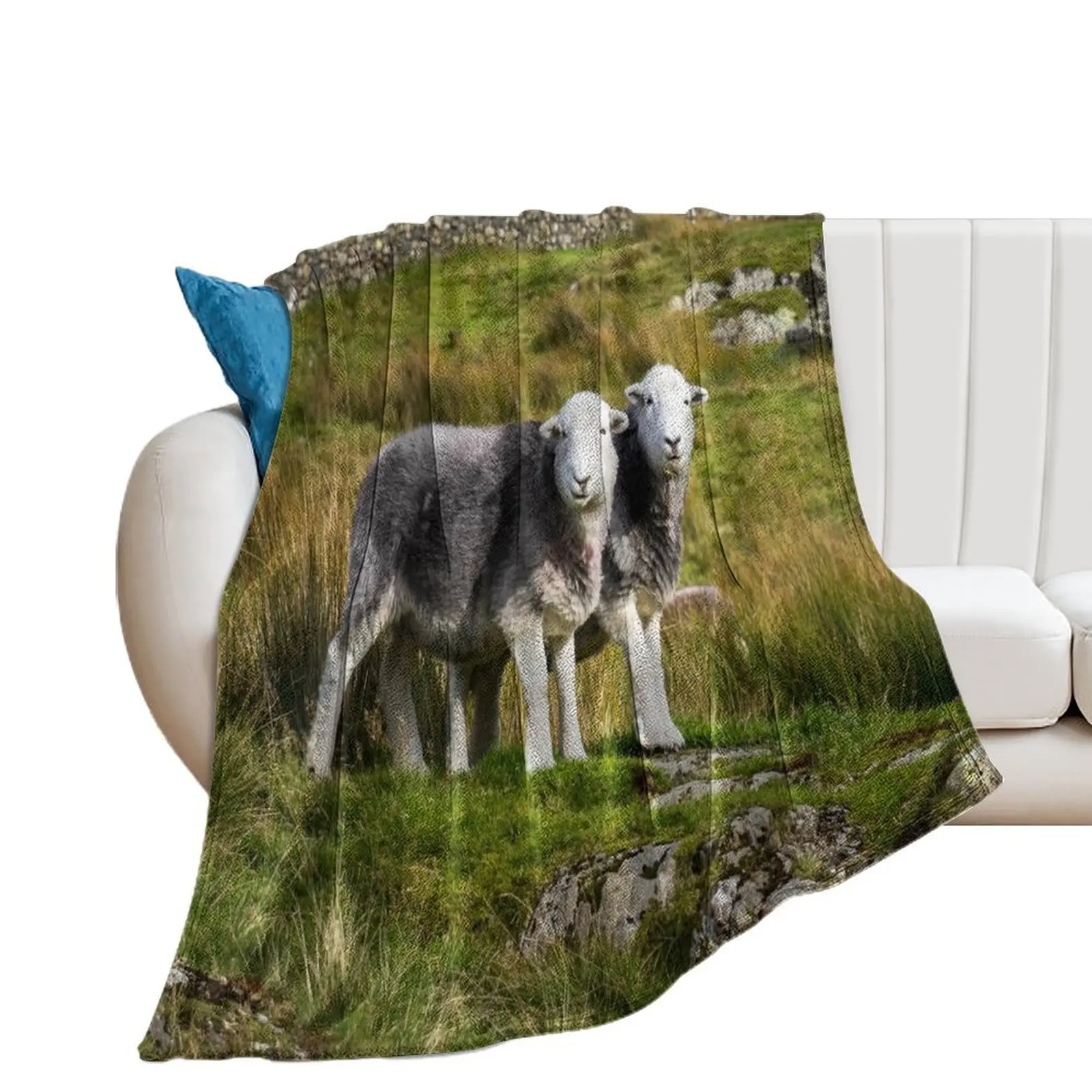 

Herdwick Sheep Landscape Throw Blanket Stuffeds Bed Fashionable for sofa Blankets