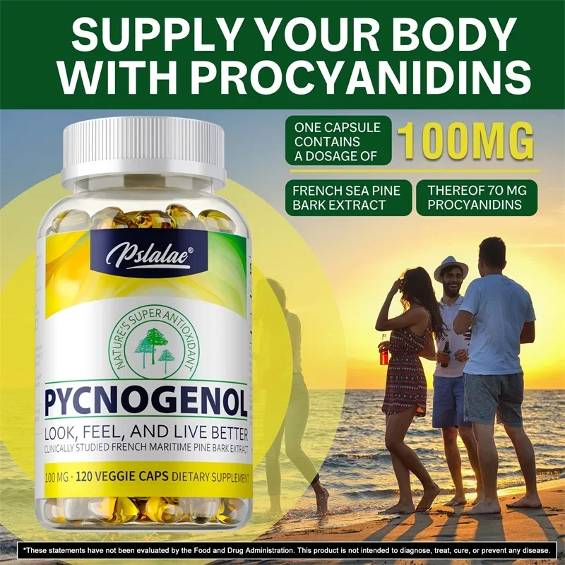 

Pycnogenol - Promotes Blood Circulation, Antioxidant, Joint and Immune SupportCapsule
