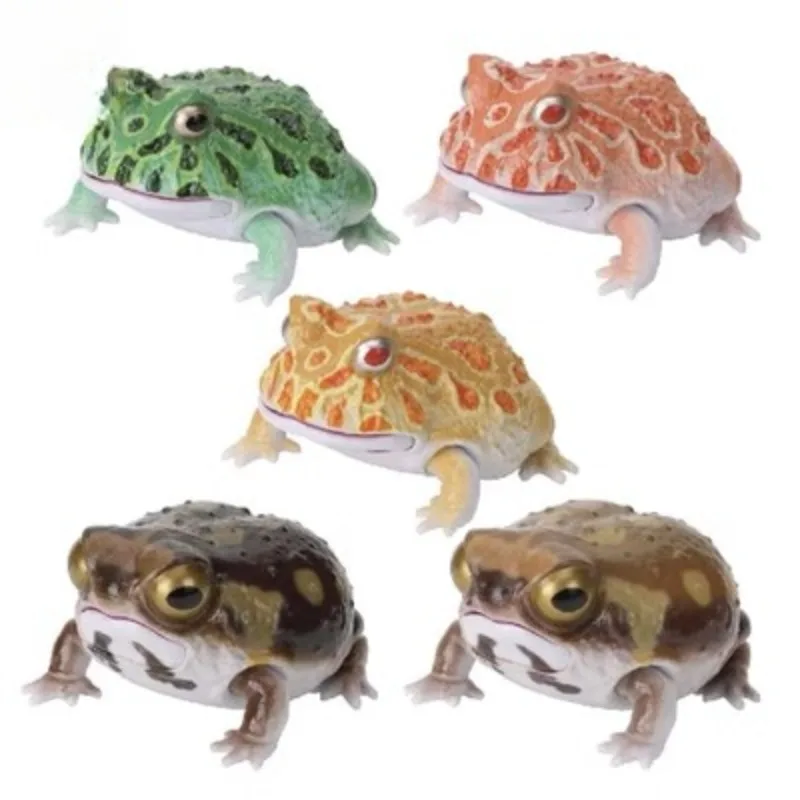 

Japanese Gacha Scale Model Biological Simulation Cognitive Model Horned Frog Rain Frog Action Figure Toys Diversity of Life