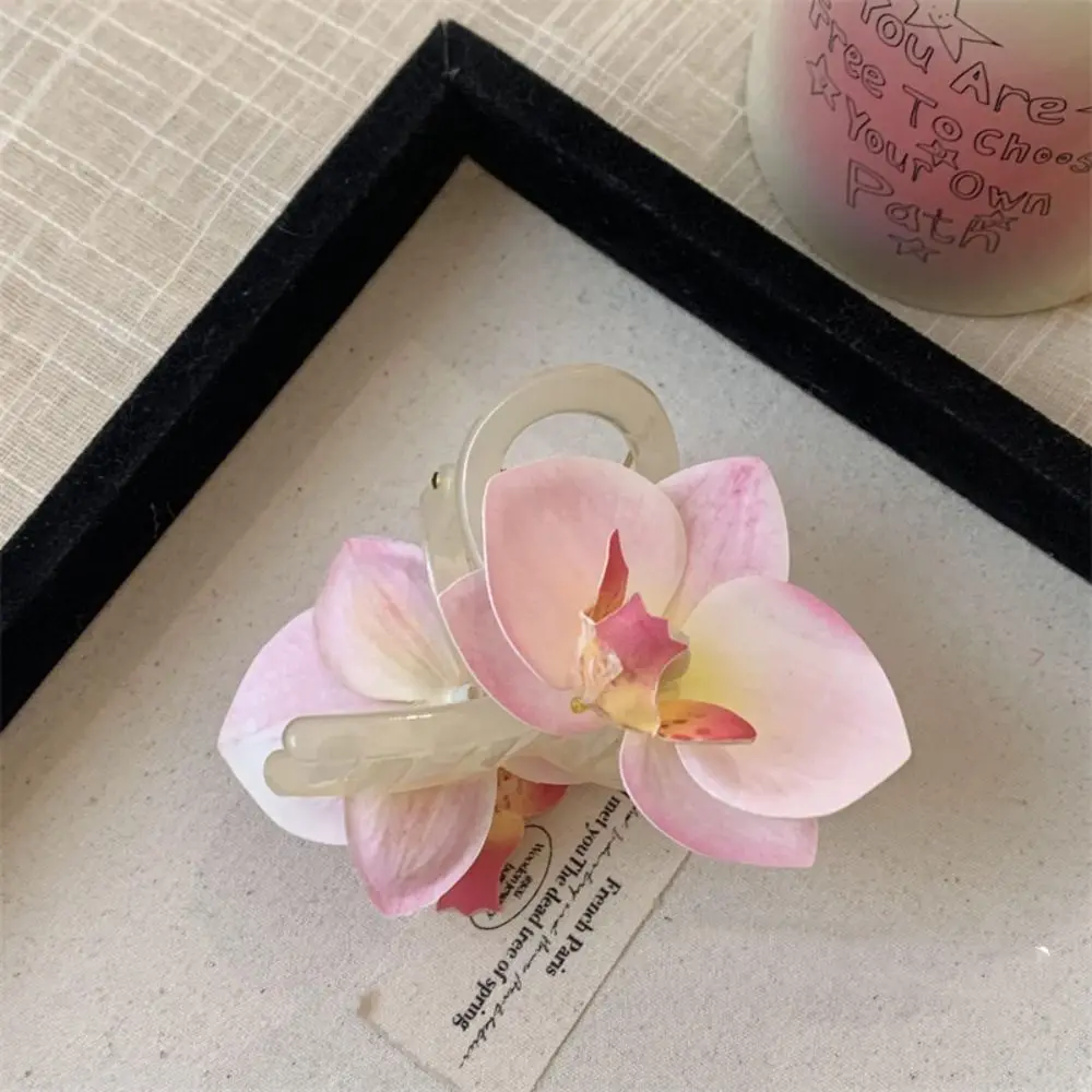 Butterfly Orchid Fl…