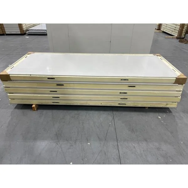 Coldroom Meat Fish Fruits Vegetables Container Refrigeration Unit Blast Chiller Freezer Walk in Cold Room Storage Manufacturer