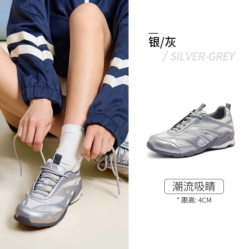 Sliver Gray