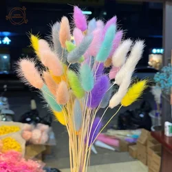 Hierba de cola de conejo seca, mezcla de 60 piezas, flores naturales preservadas, ramo de Decoración de mesa de boda, arreglo de flores para el hogar